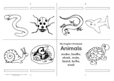 Foldingbook-vierseitig-animals-7.pdf